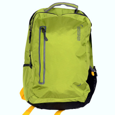 american tourister green bag