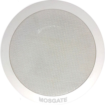 ceiling speakers flipkart