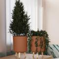 FORWAY Flower Pot Indoor Outdoor Pla thumbnail 5
