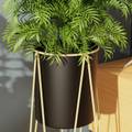 DECENT HOME DECOR Planter Stand for thumbnail 5