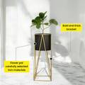 DECENT HOME DECOR Planter Stand for thumbnail 4