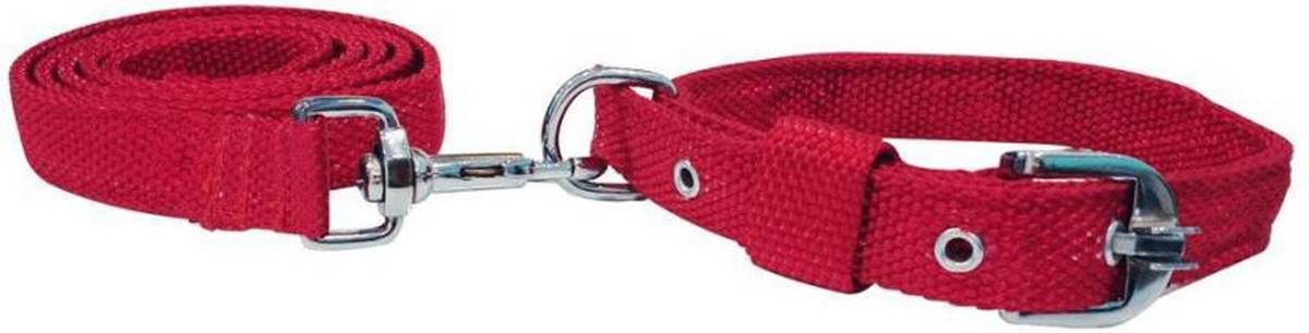 GENXTRA 125 cm Dog Strap Leash