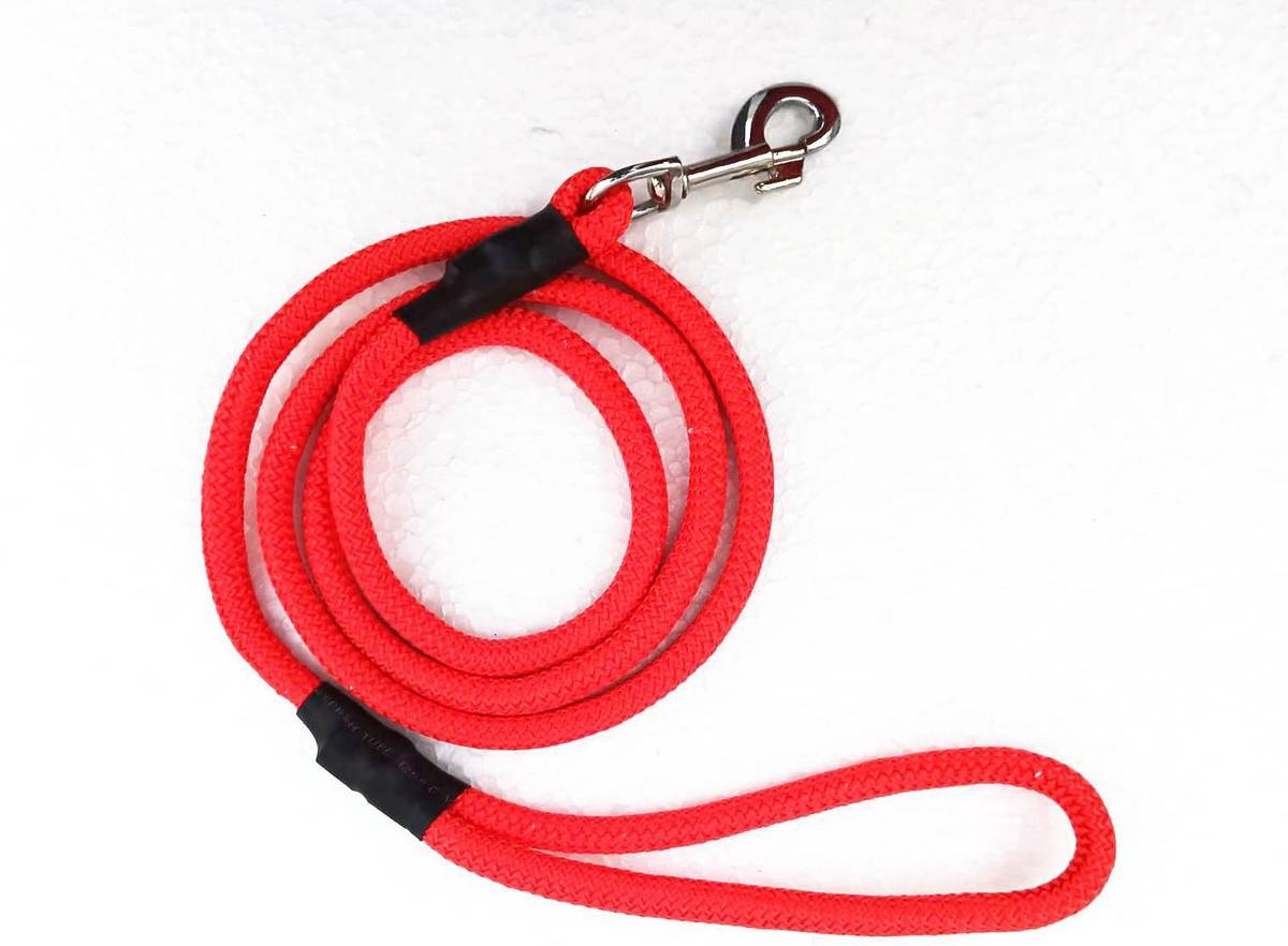 Rexalt 152 cm Dog & Cat Cord Leash