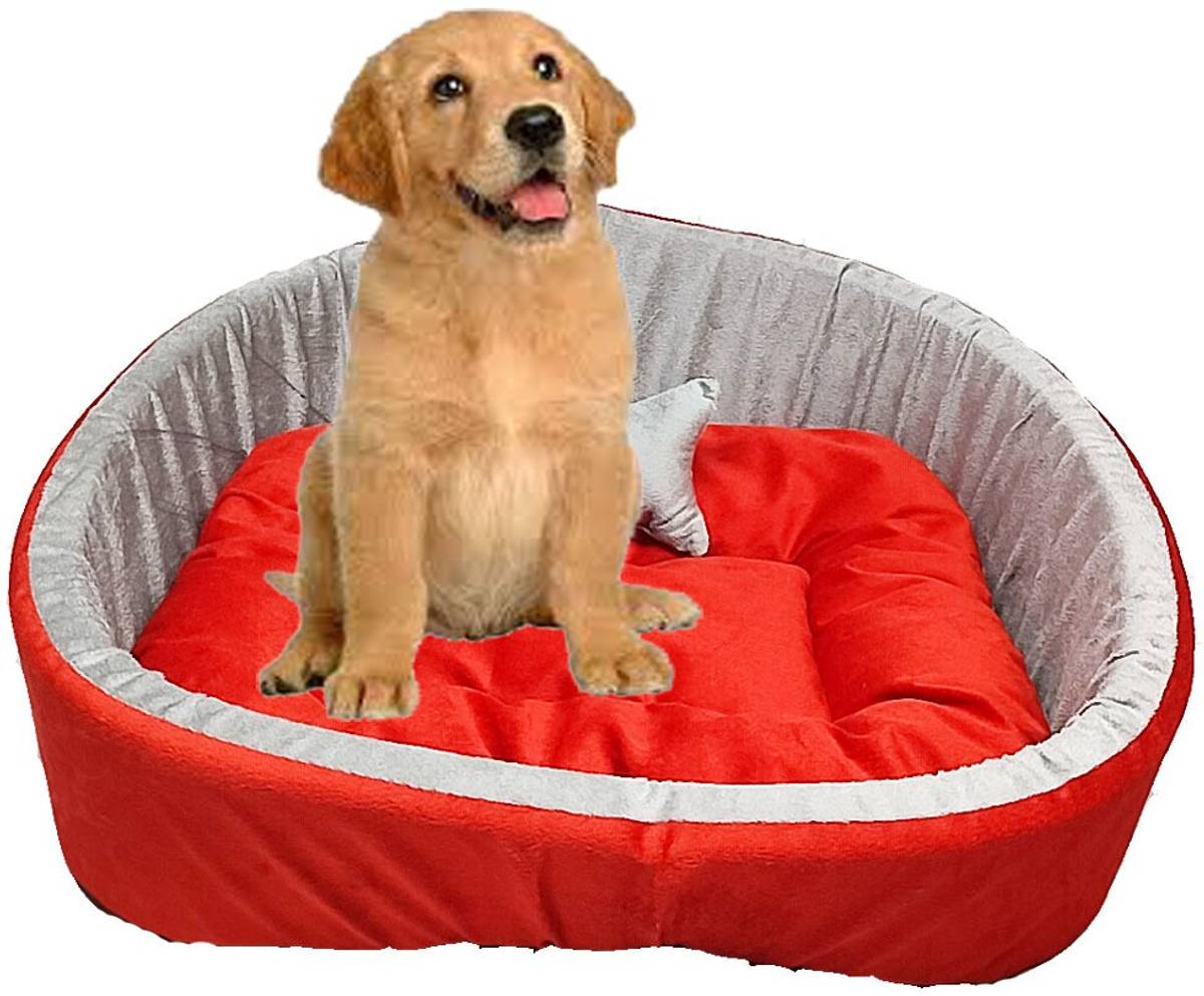 TRANDING STYLISH Simple Mountain Sofa With Haddi For Dog And Cat S Pet Bed — photo 2