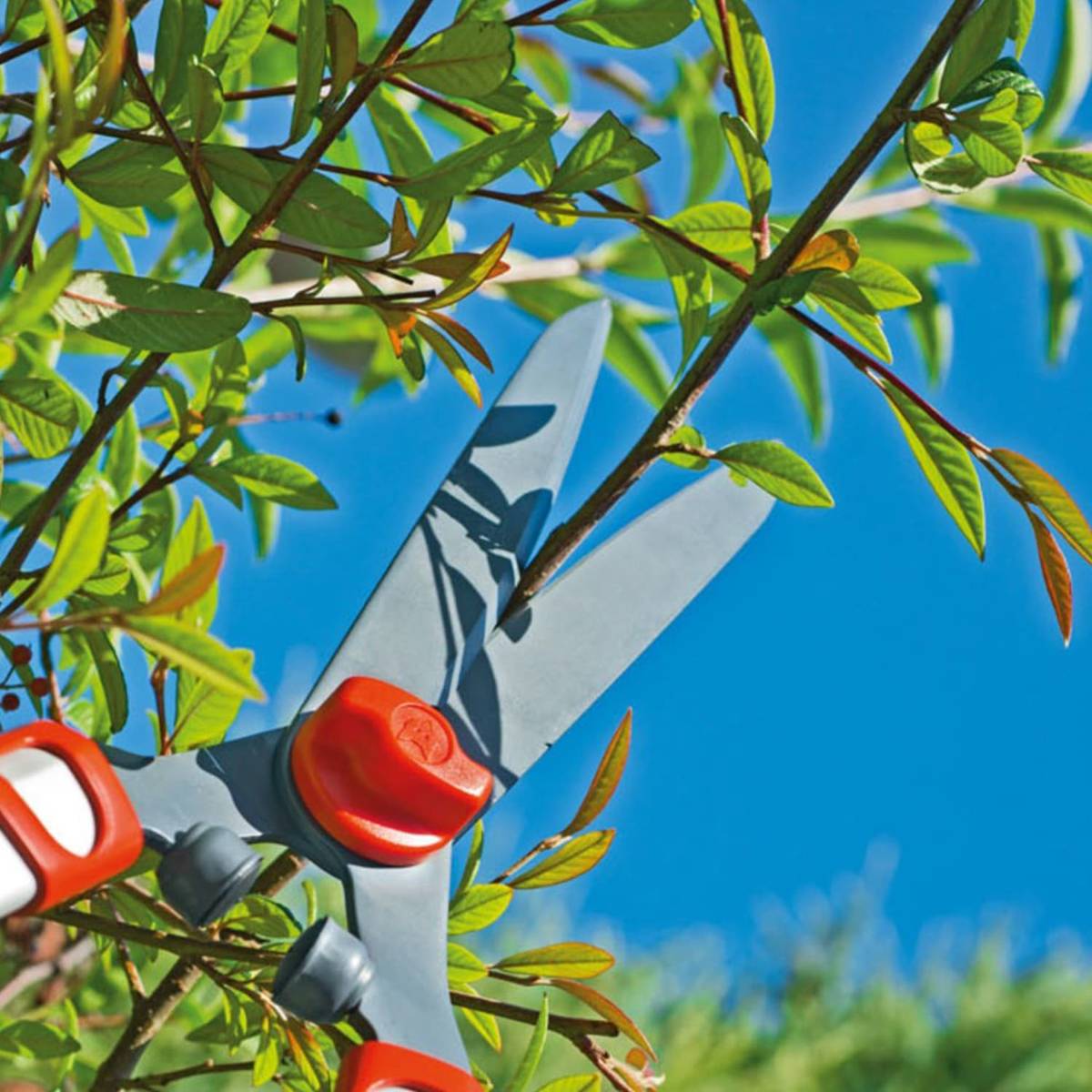 Manual Hedge Trimmers (HS 1000 T) HS 1000 T Hedge Shear — photo 3