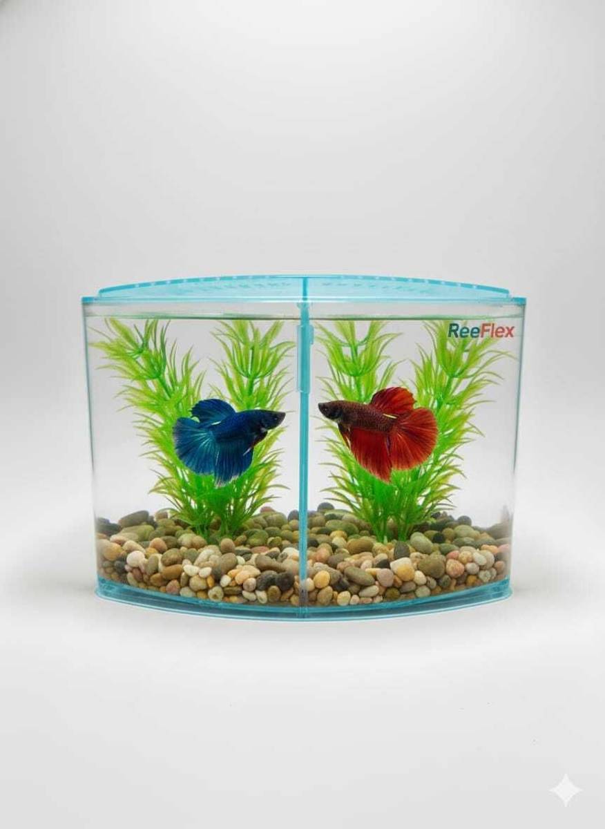 Petscope K4 Double Betta House Rectangle Aquarium Tank — photo 4