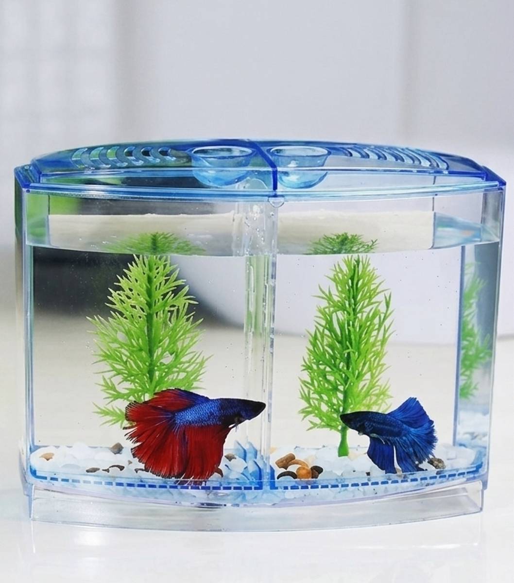 Petscope K4 Double Betta House Rectangle Aquarium Tank