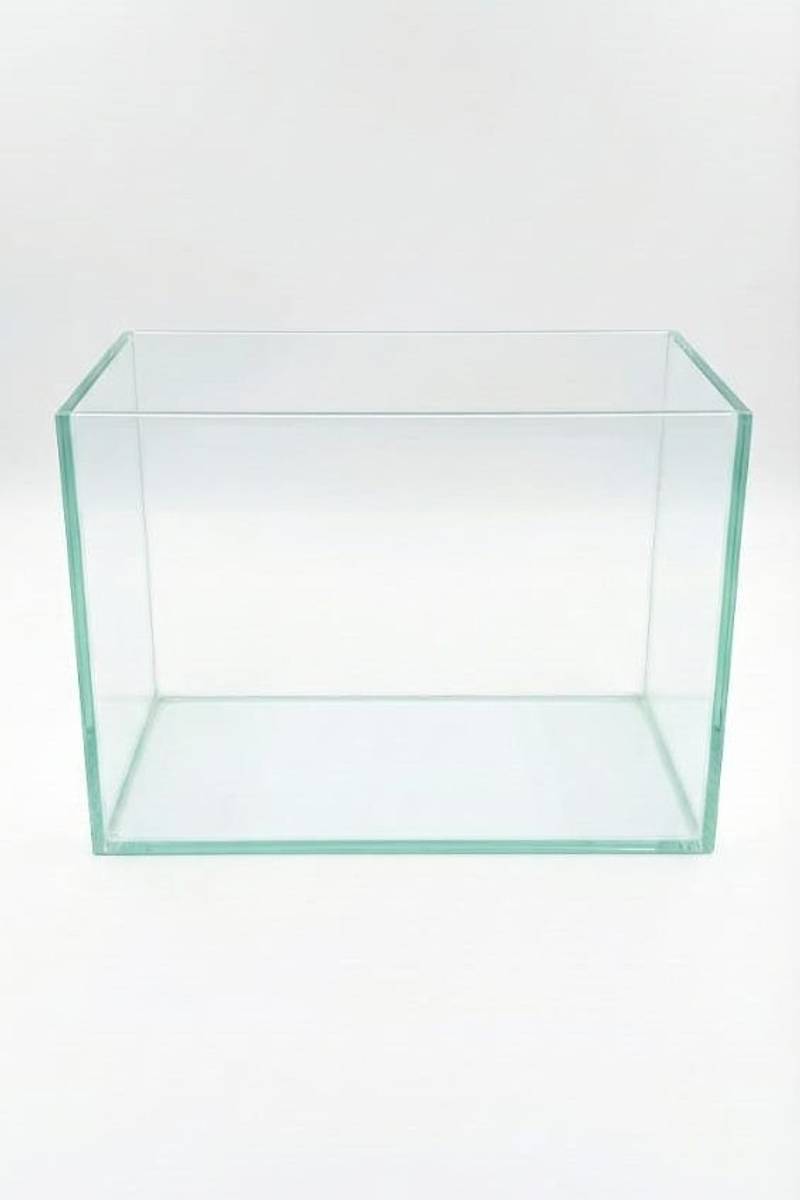 AquariumGallery Aquarium Glass Small Tank for Home & Office Perfect for Betta & Goldfish Rectangle Aquarium Tank
