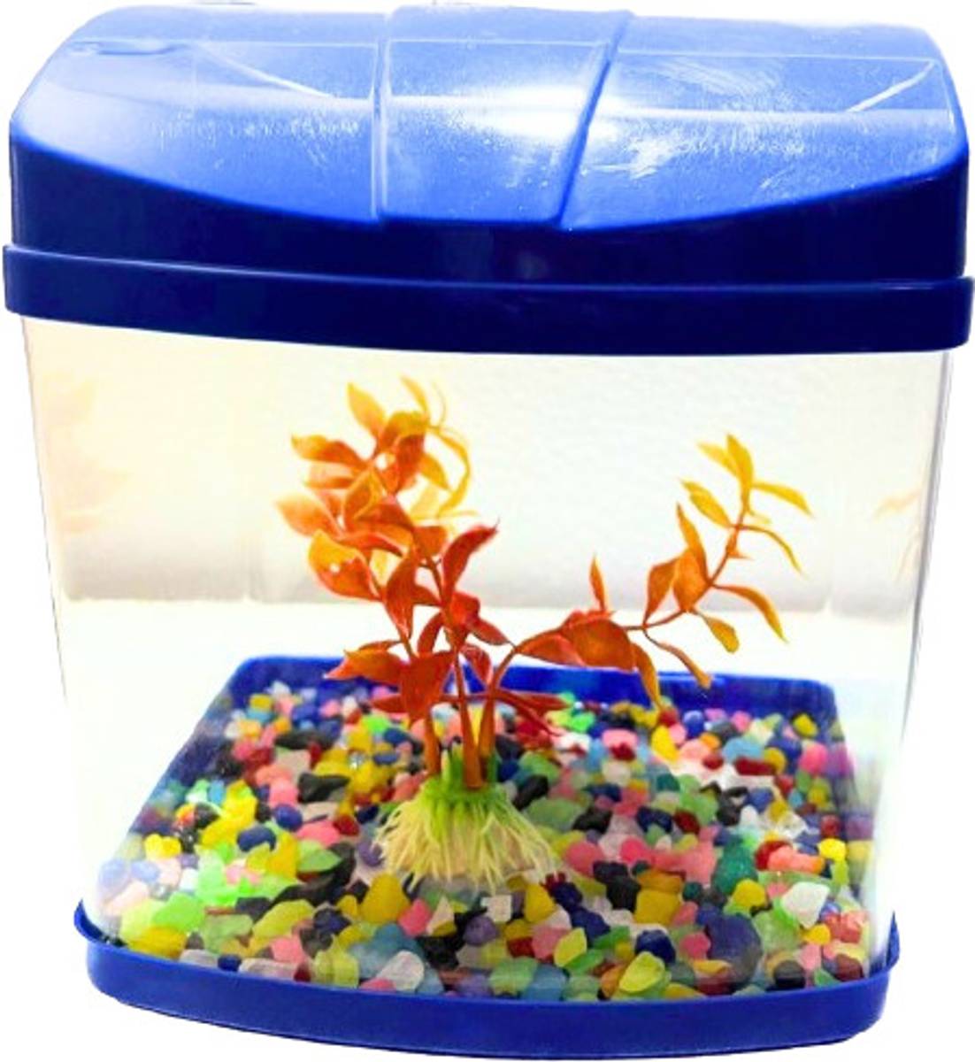 kshstore MINIAQ2L Cube Aquarium Tank