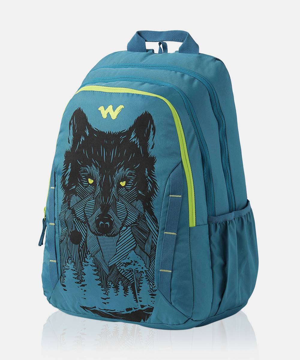 Daredevil 43 L Laptop Backpack — photo 4