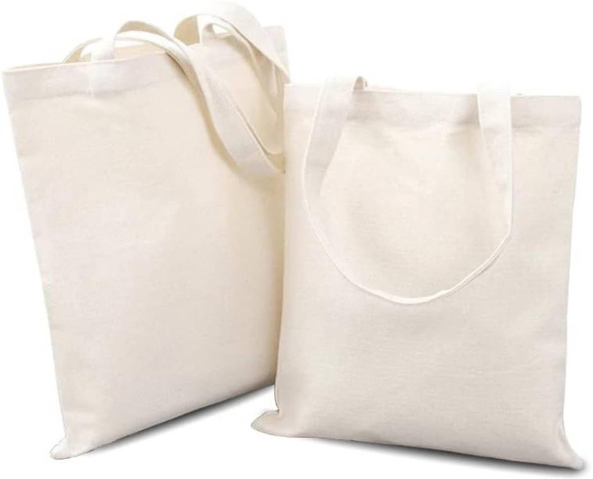 prageet Women White Tote