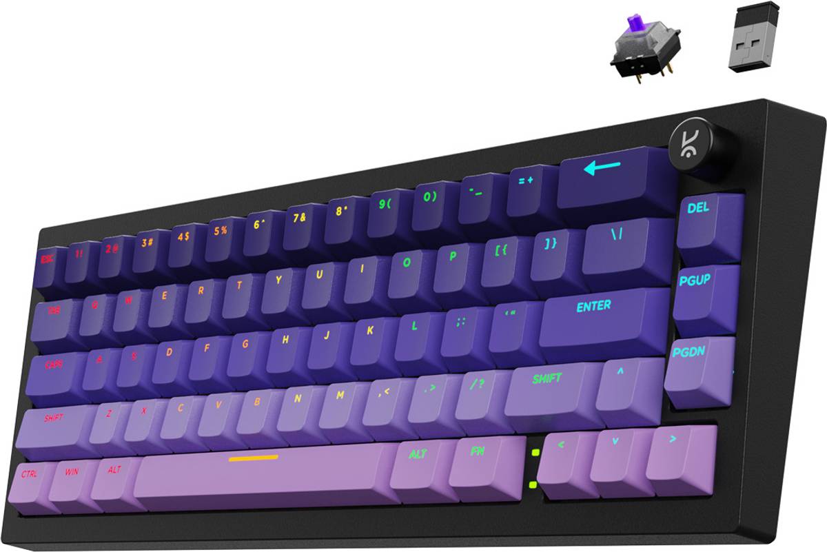 Kreo Swarm 65 RGB Mechanical Wireless Laptop-size Gaming Keyboard Compatible with Desktop, Laptop, Mac