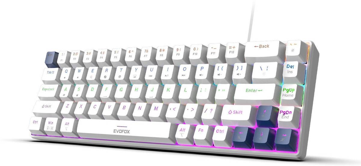 EVOFOX Katana S Mini Mechanical with Silent Red Switches & Rainbow Backlighting Wired USB Tenkeyless Gaming Keyboard Compatible with Desktop, Laptop, Mac