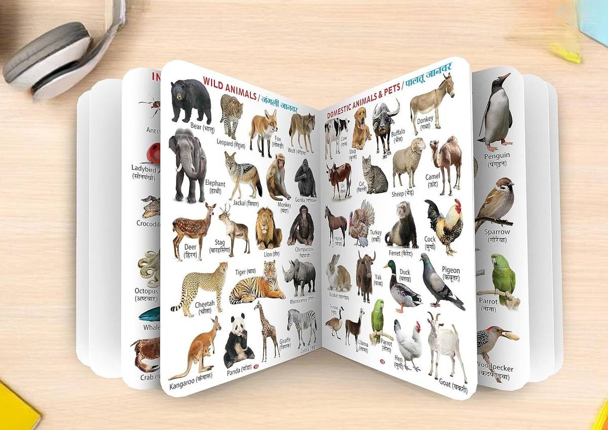 My First Jumbo All in one big Size Board Book (English + Hindi) — photo 2