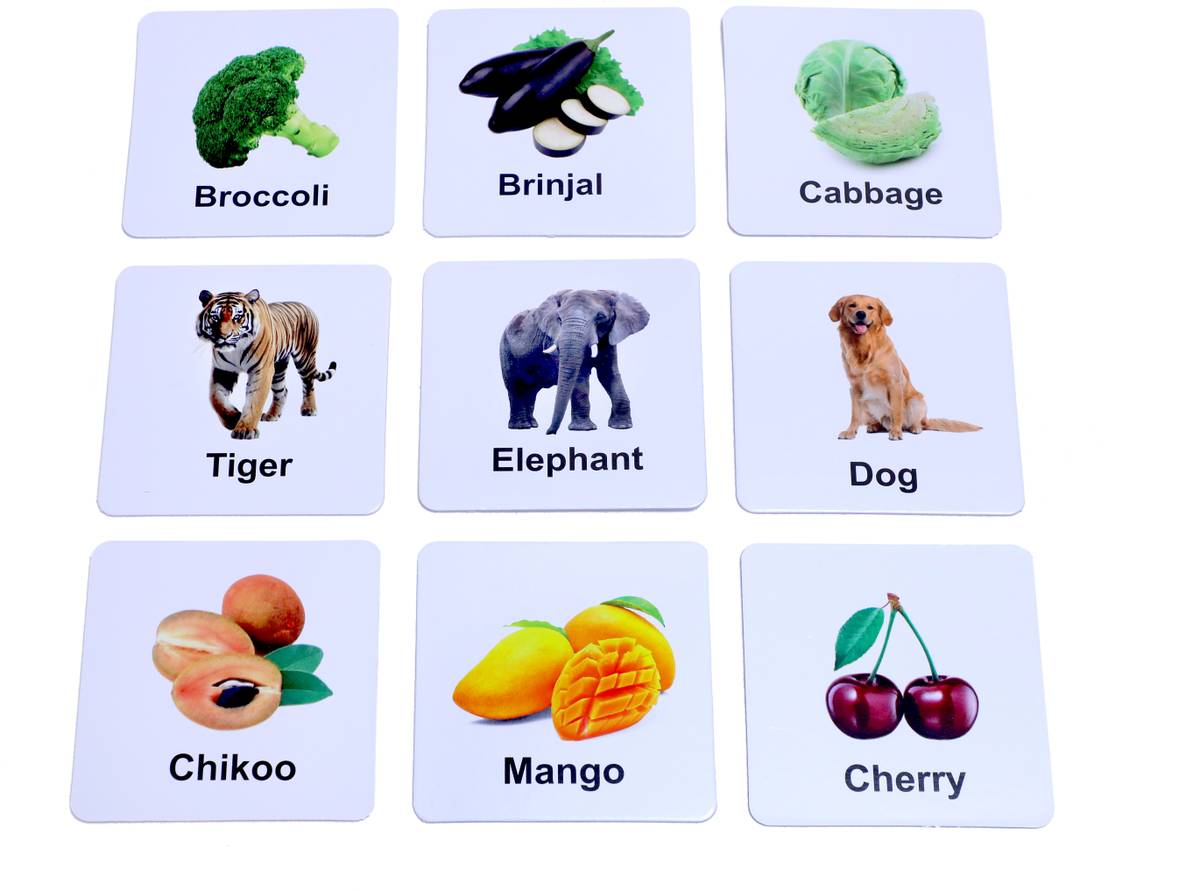 ZARQITO All in One Flash Cards for Kids (Non-Tearable flashcards - Water Proof) — photo 4