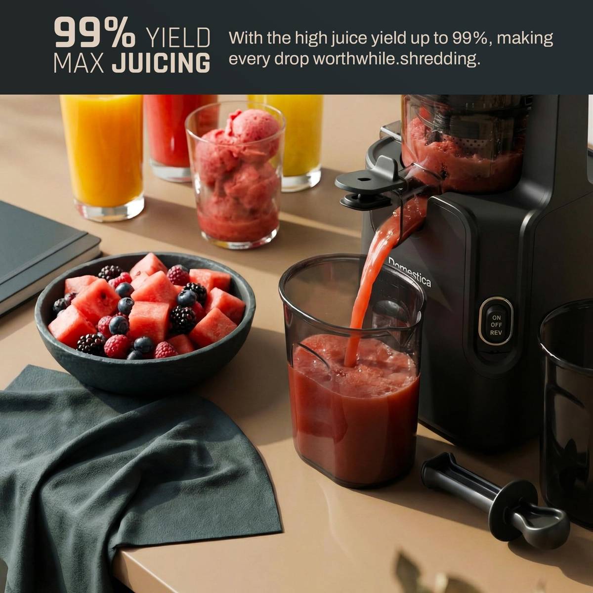 Domestica Dripdrop Pro Cold Press Juicer for Home |Slow Juicer for Fruits with BLDC Motor 1200 W Juicer Mixer Grinder — photo 3