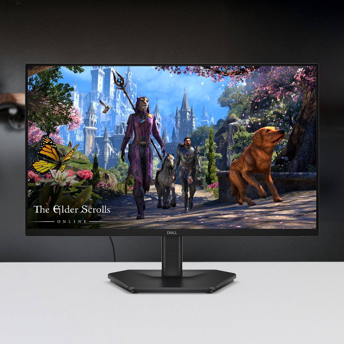 SE Series 68.58 cm (27 inch) Full HD LED Backlit IPS Panel with HDR 10, 300nits, 1000:1 Contrast, 99% Srgb, Tilt, 2 HDMI 2.1 TDMS(supports HDMI VRR),DP 1.4, 3side narrow bezels Gaming Monitor (SE2725HG) — photo 5