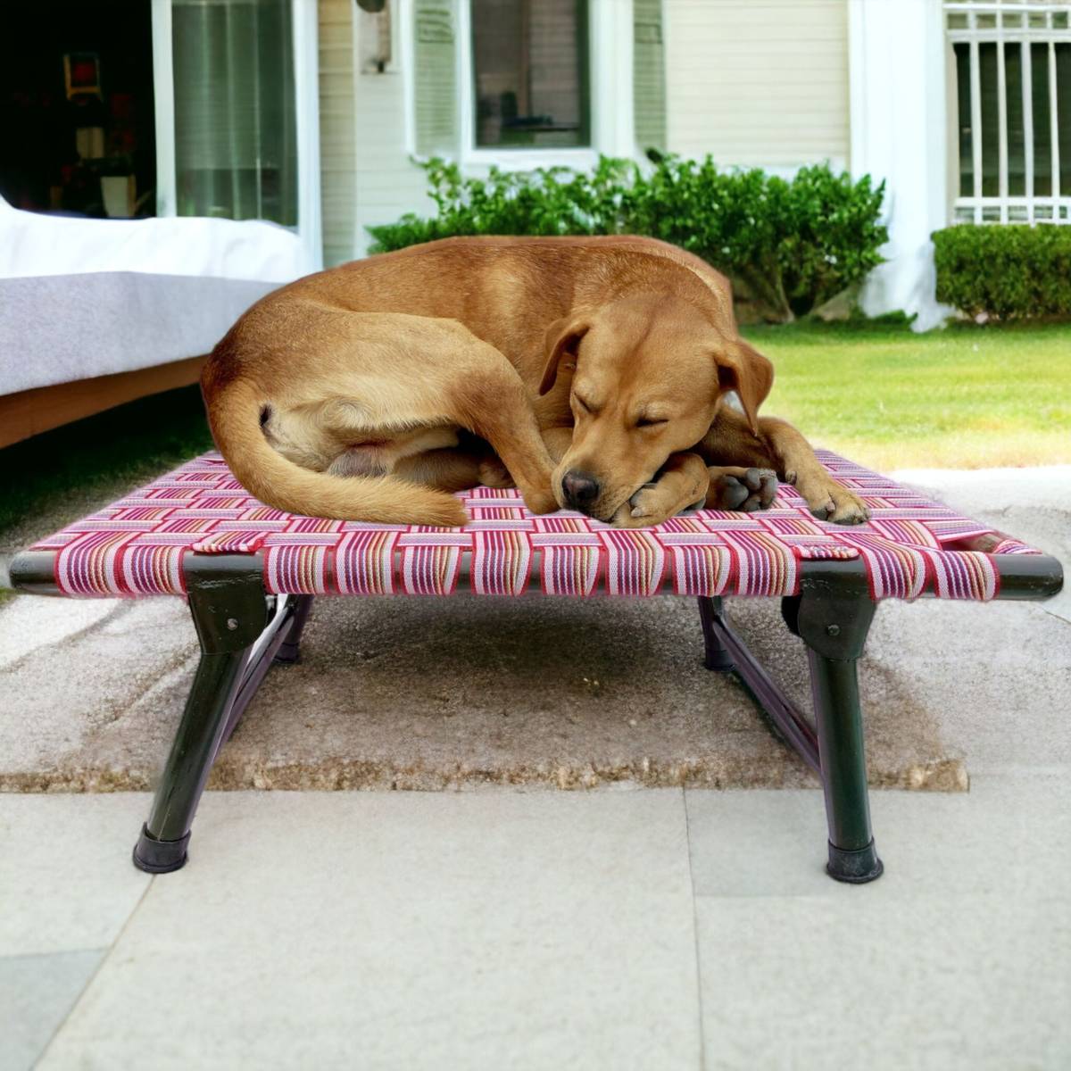 AAURAS Diamond Dog Orthopedic for Large Washable Cover & Nonskid Bottom, L Pet Bed — photo 5