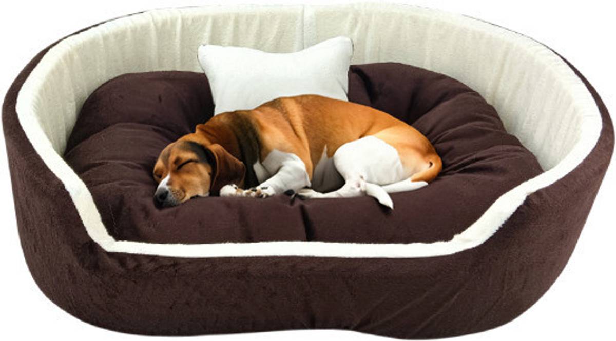 Havens dream Dog Bed, Sofas Bed & Chairs Bed With Haddi S Pet Bed