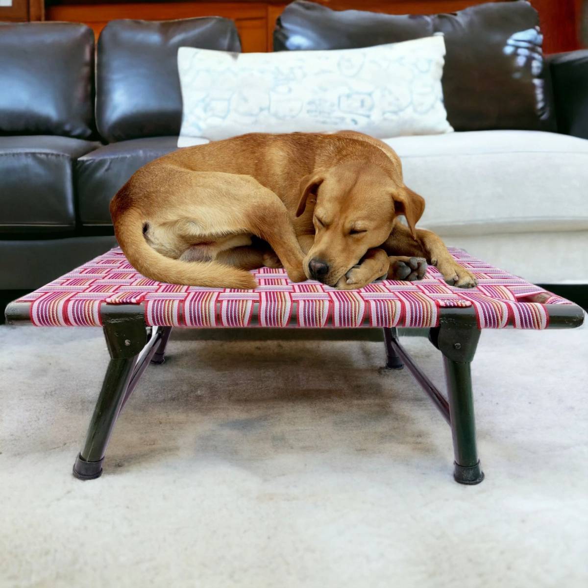 AAURAS Diamond Dog Orthopedic for Large Washable Cover & Nonskid Bottom, L Pet Bed