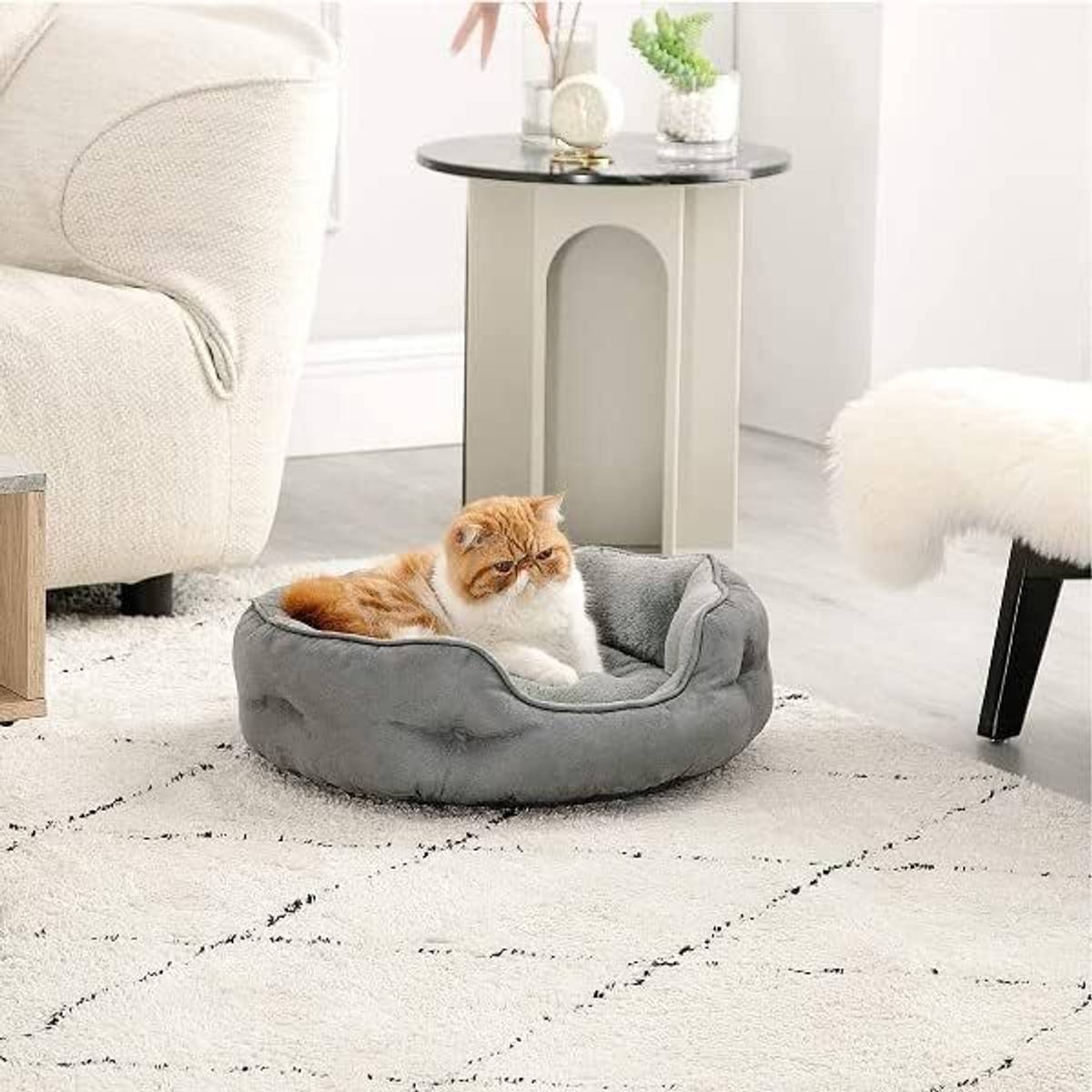 petlux Dog & Cat Washable Beds for Indoor Pets & Puppy, Round Dog Bed Sofa for Dogs. S Pet Bed — photo 5