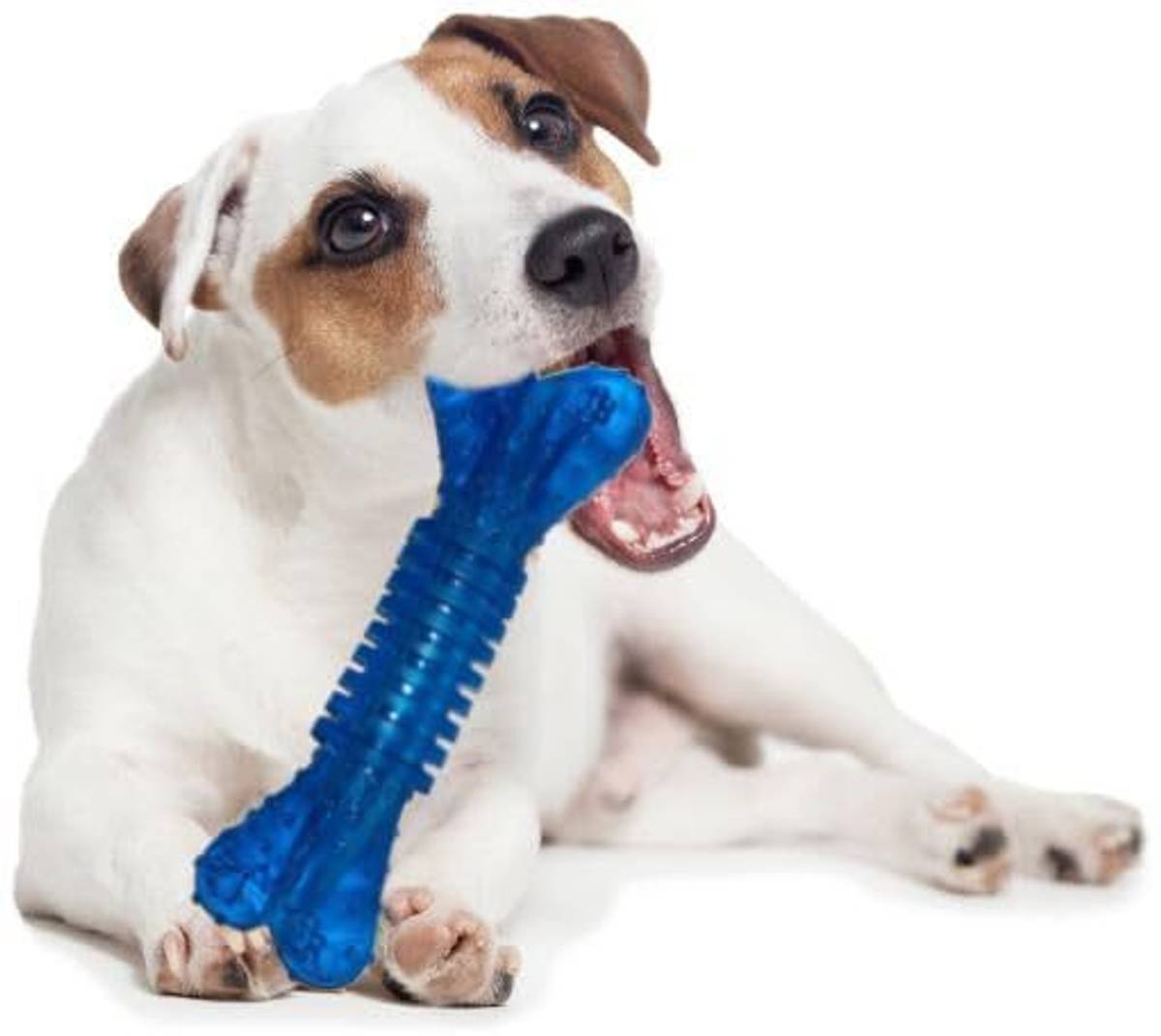 PETZLUV Durable Teething & Tug of War Rope Chew Toys Combo - Bouncy Ball & Rubber Bone Cotton Bone, Ball, Chew Toy, Fetch Toy, Training Aid, Tug Toy For Dog — photo 2