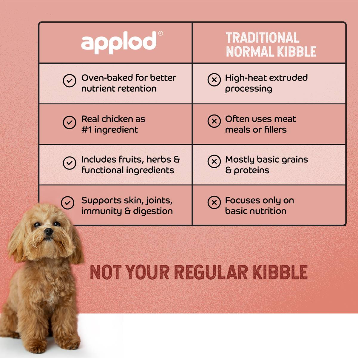 Applod Chicken & Vegetables with Apple & Pomegranate Dry Dog Food for Puppies-Pack of 3 Chicken 0.45 kg (3x0.15 kg) Dry Young Dog Food — photo 3