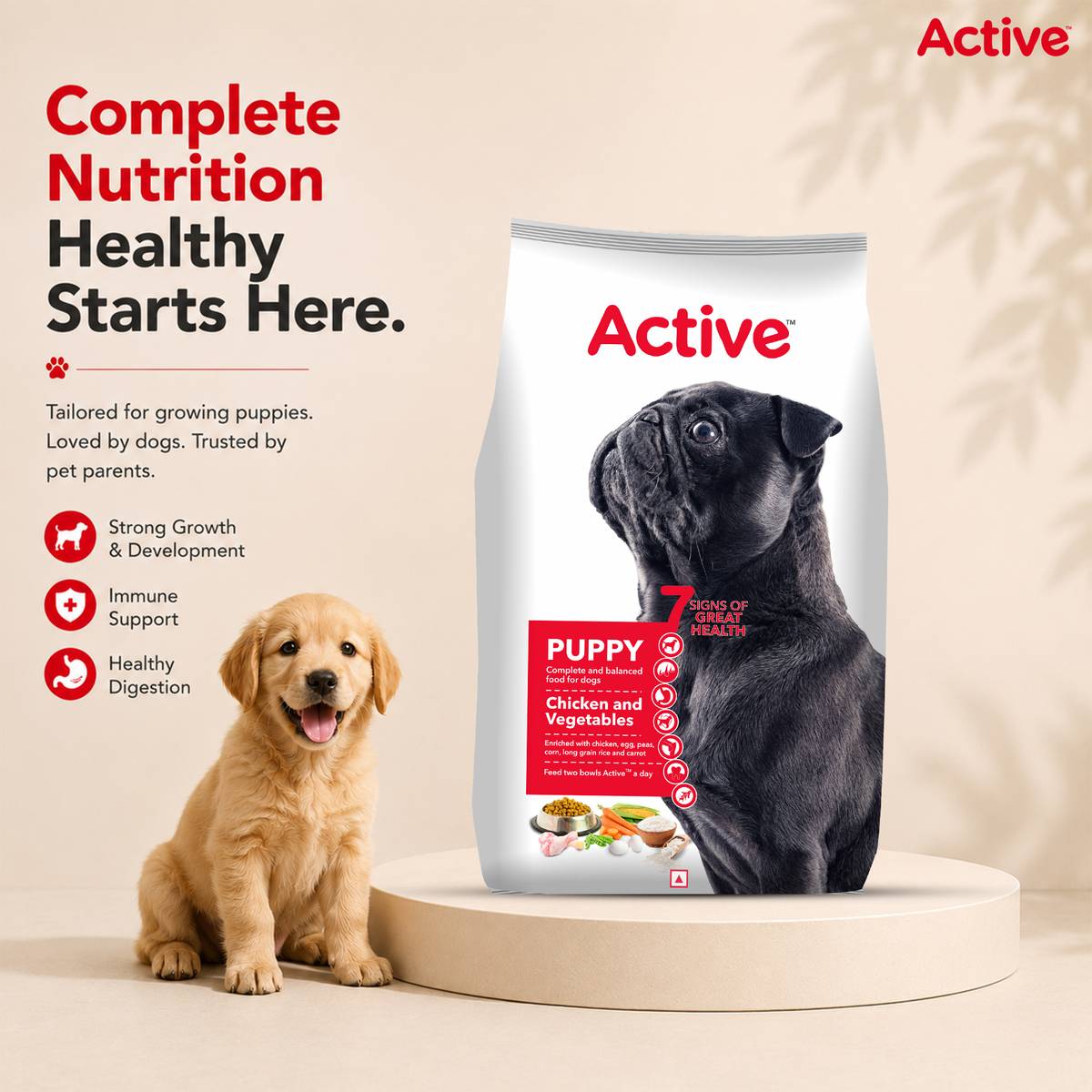 Active Buy 1 Get 1 (2x3 kg) Chicken & Vegetable 6 kg (2x3 kg) Dry Young Dog Food — photo 2