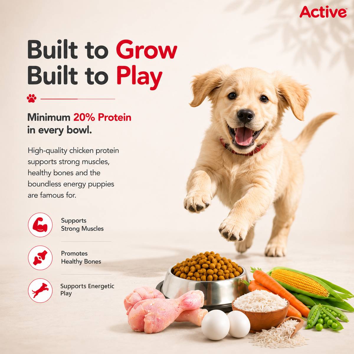 Active Buy 1 Get 1 (2x3 kg) Chicken & Vegetable 6 kg (2x3 kg) Dry Young Dog Food — photo 5
