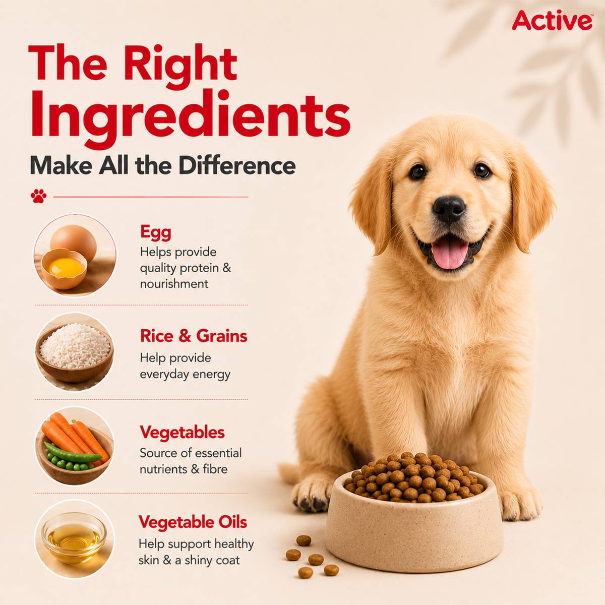 Active Buy 1 Get 1 (2x3 kg) Chicken & Vegetable 6 kg (2x3 kg) Dry Young Dog Food — photo 4