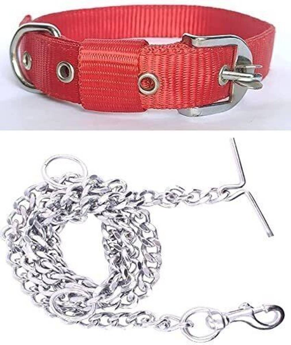 Sip Good Quality Dog Belt Combo of Nylon Multi Collar with Dog Chain 1Inch Lengthy 160 cm Dog Chain Leash