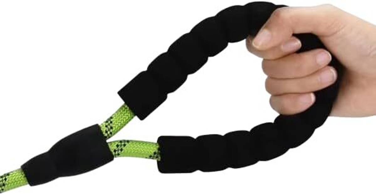 Petzmannia Foam Padded Dog Rope Leash 25 cm Dog Chain Leash