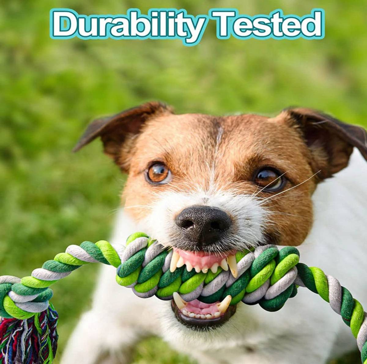 decorvaiz Toys for Puppies & Small Dogs Toys | Rope Ball Toy | Cotton, Rubber Ball, Bone, Chew Toy, Rubber Toy, Squeaky Toy, Training Aid, Tug Toy For Dog — photo 4