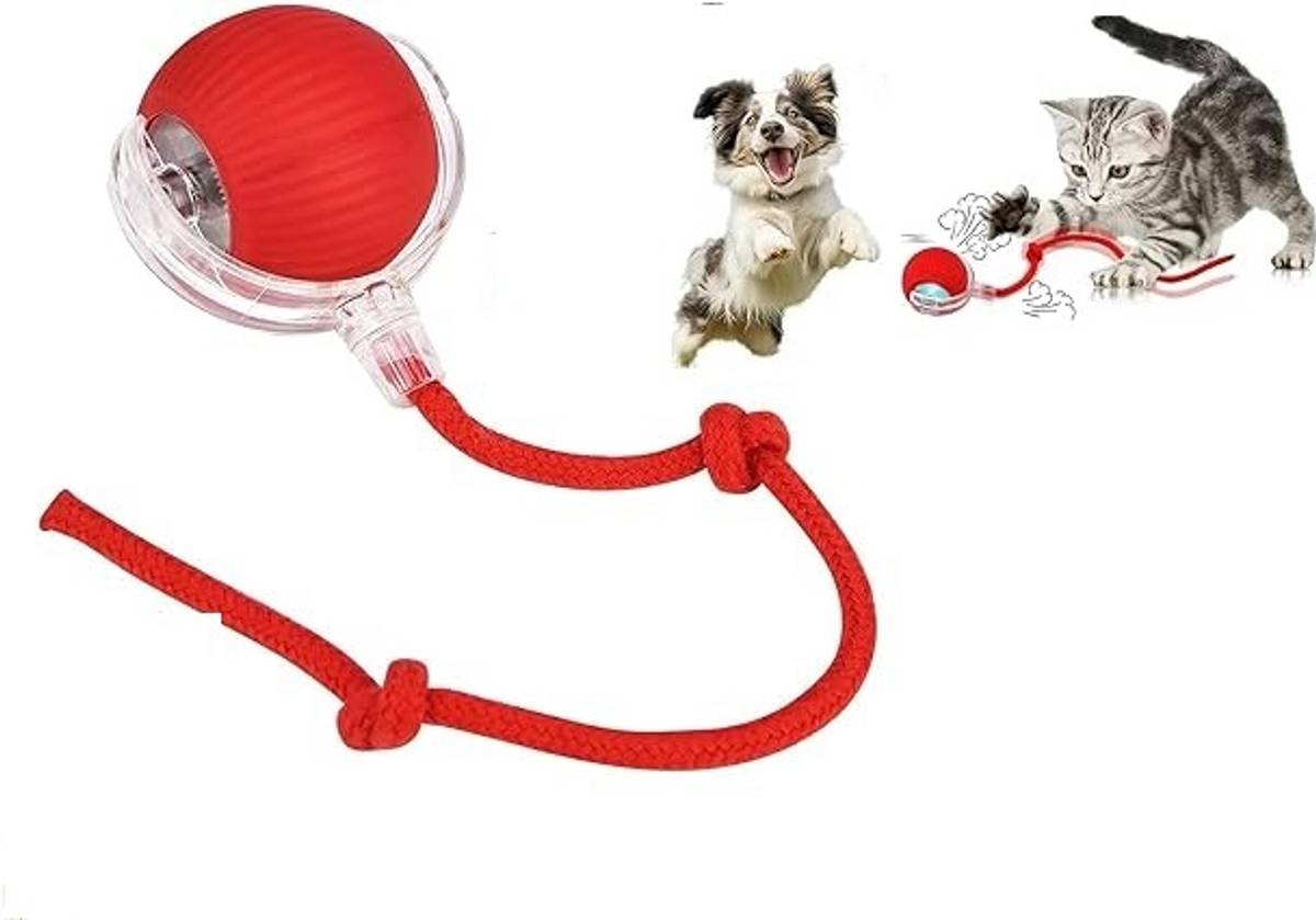 SENAPATI Moving Cat Balls for Bored Indoor Toys Silicone Ball Silicone Ball For Cat
