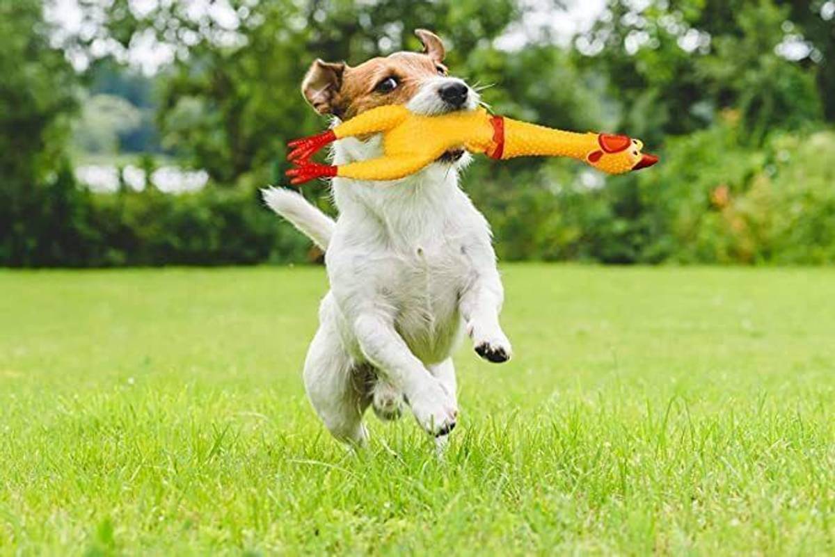 MYSTIC PAW Pet Products Screaming Rubber Chicken Sound Toy Plastic Chew Toy For Dog — photo 3