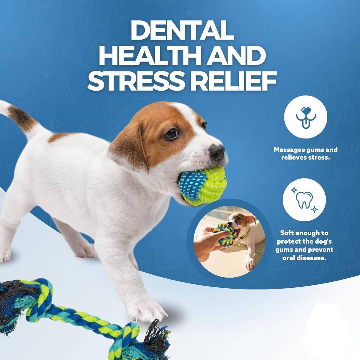 PETZLUV YOUHAVEDEAL 6 in 1 Dog Toy Combo for Medium Dogs –Bouncing Ball, Bone & Rope Toy Cotton Bone, Ball, Chew Toy, Fetch Toy, Training Aid, Tug Toy For Dog — photo 4