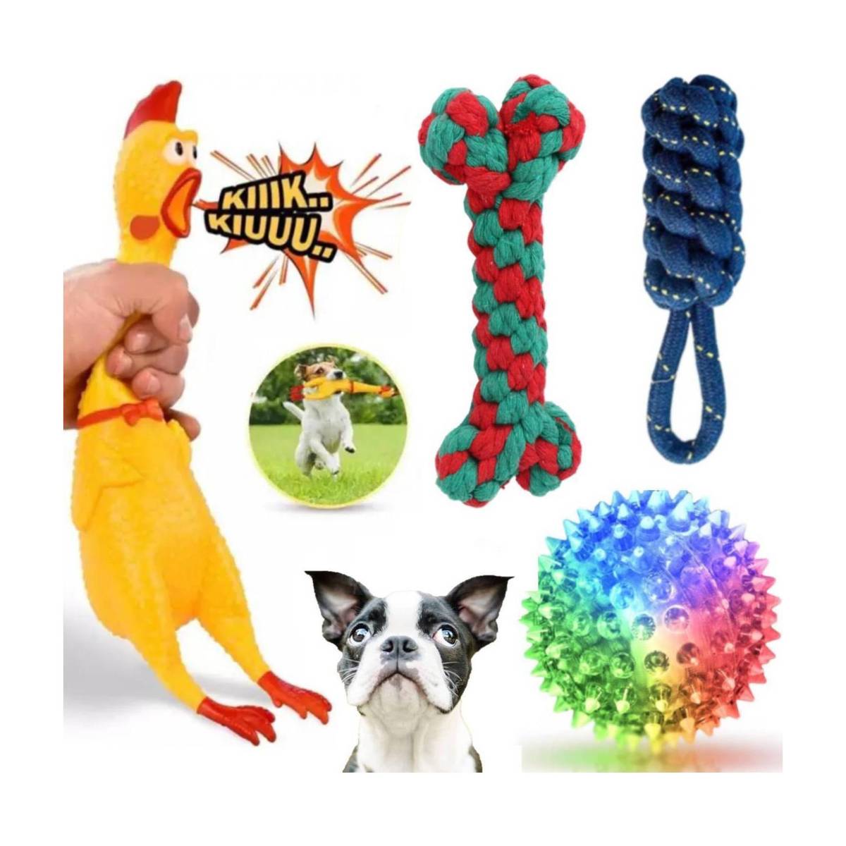 PETZLUV YOUHAVEDEAL Squawking Chicken Squeeze Dog Toy(Large)| Chew Rope Combo Toys Cotton, Rubber Ball, Chew Toy, Rubber Toy, Training Aid, Tug Toy For Dog