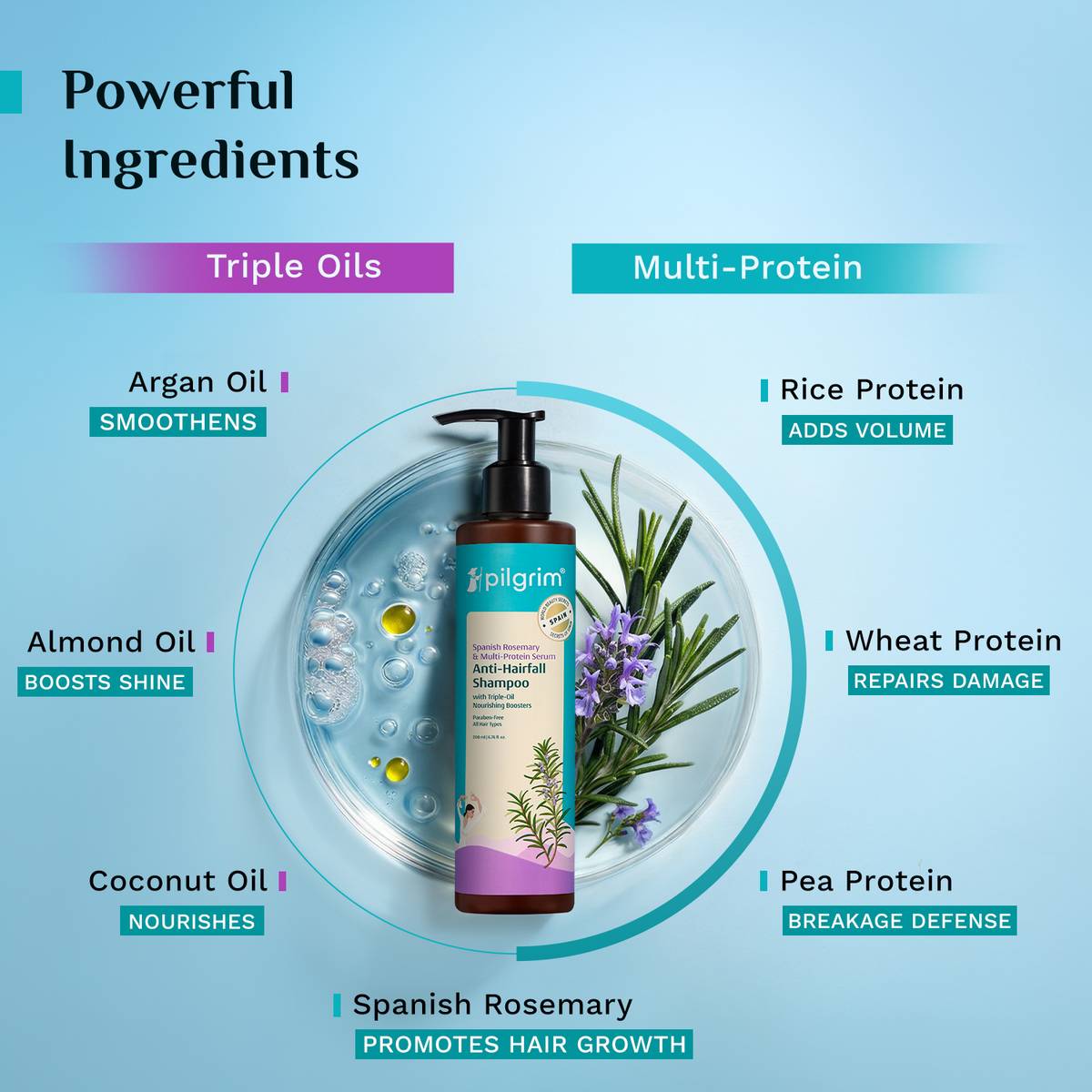Pilgrim Spanish Rosemary Anti Hairfall Shampoo for Women & Men | Promotes Hair Growth — photo 4