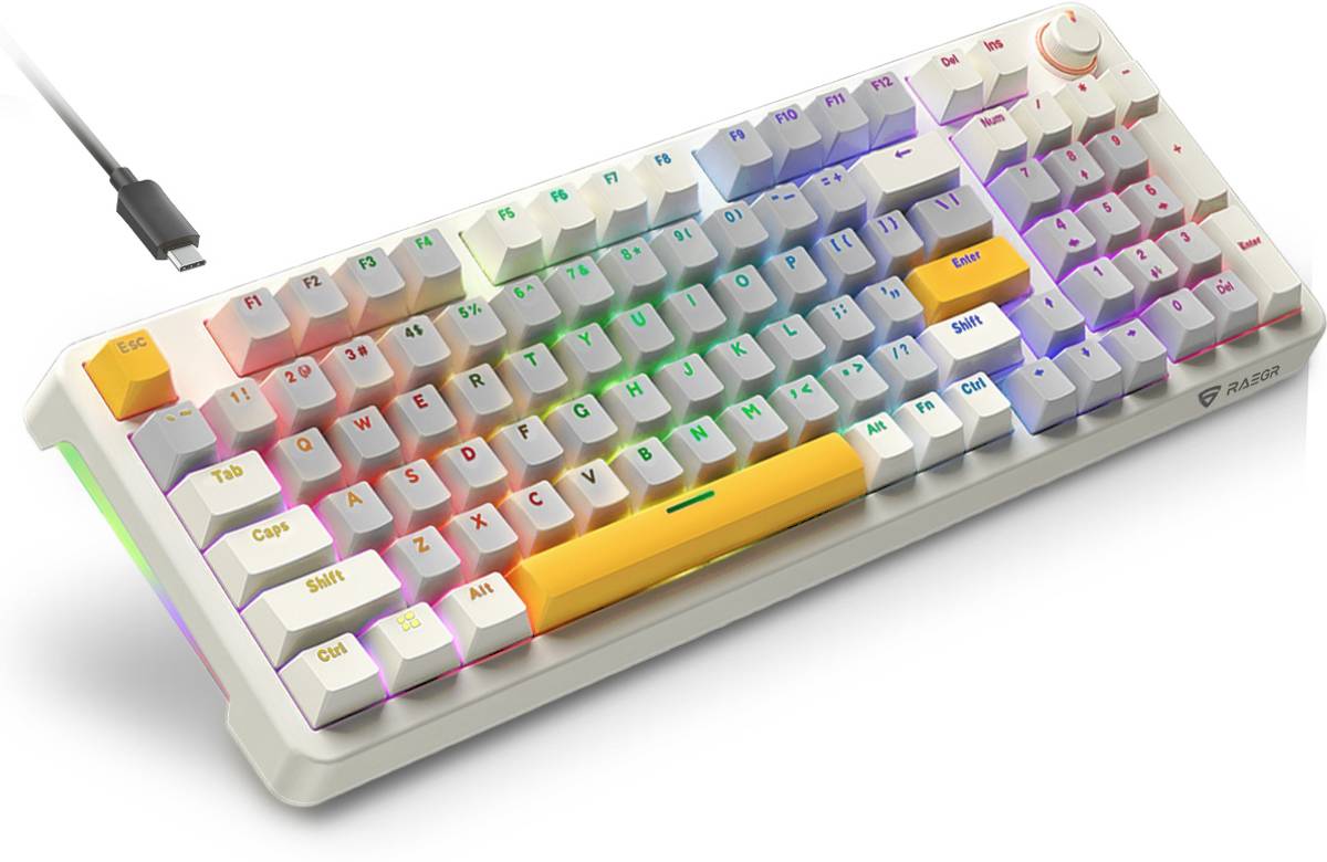 RAEGR MechGear X100 Mechanical Gaming Keyboard, 98 Keys , Rainbow Backlit Wired USB Standard Gaming Keyboard Compatible with Laptop, Desktop