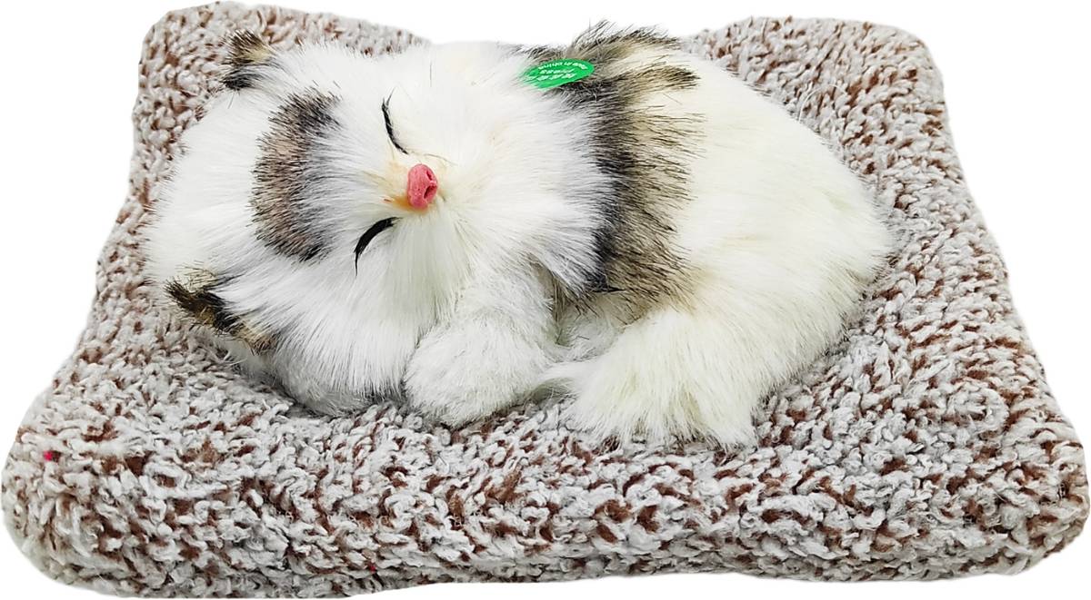 dishvy Sleeping cat with meaw sound | Musical cat Idol B — photo 4