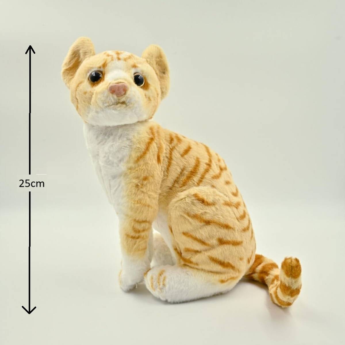 SHREEJI GIFT Adorable Realistic Tabby Cat Soft Toy 25 cm | Plush Stuffed Animal Toy for Kids, - 21 cm — photo 3
