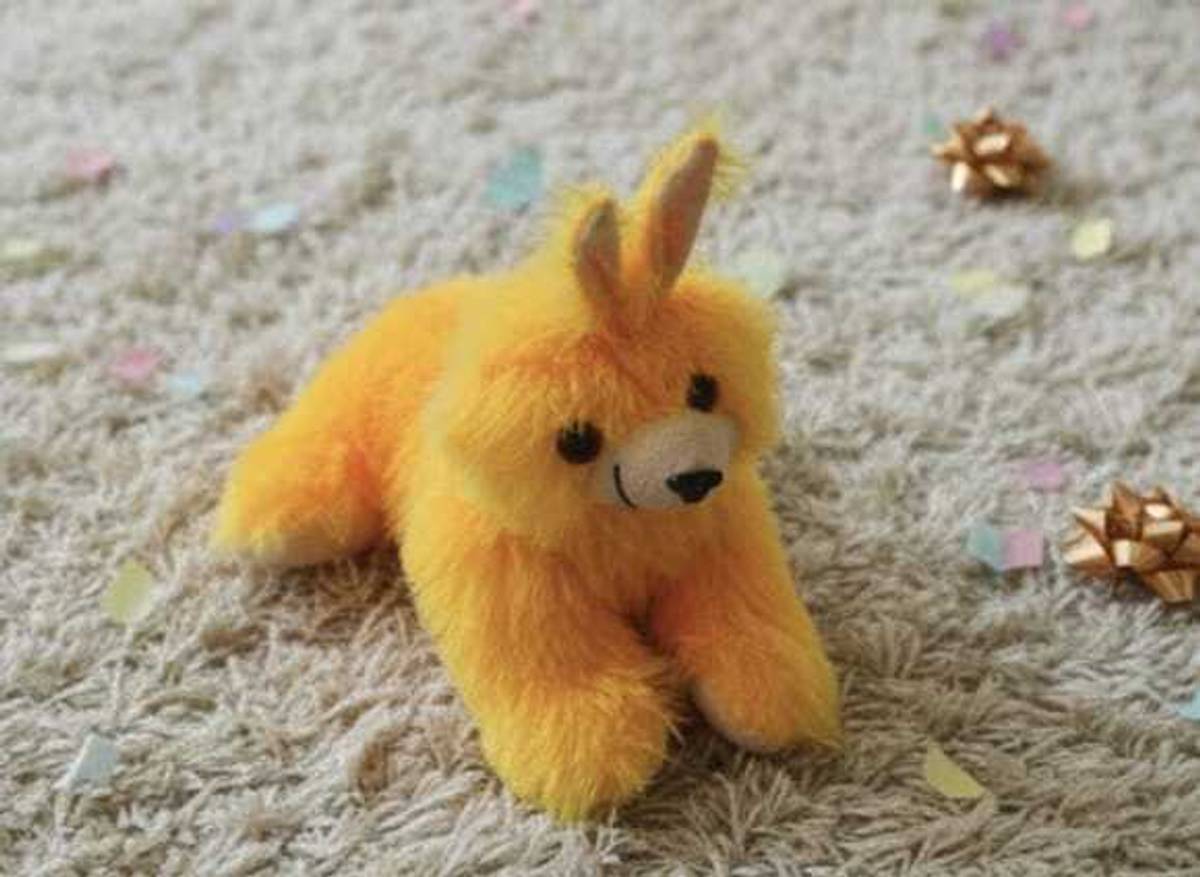 SHYAM Cat_001 - 27 cm
