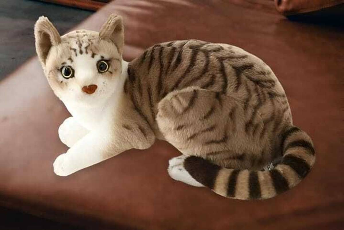 Baby Melon Soft Fur Musical Cat With Meow Meow sound Animal Toy  - 28 cm — photo 3