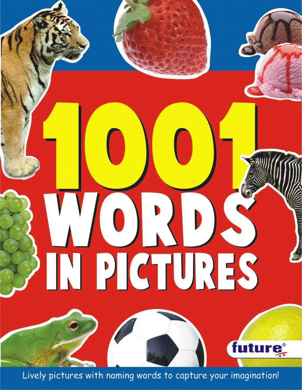 1001 Words in Picture