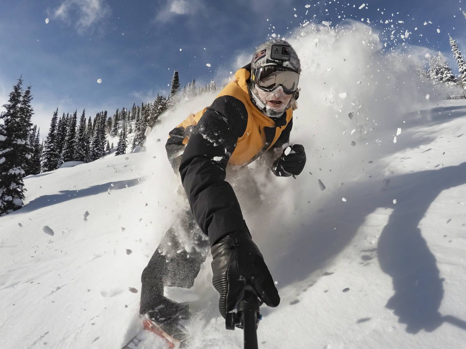 Flipkart.com | Buy GoPro HERO 5 Sports & Action Camera Online at