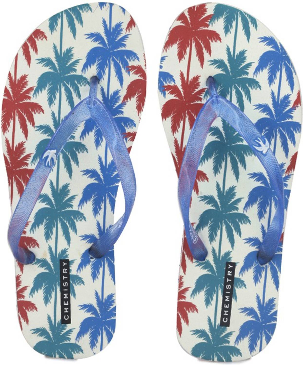 CHEMISTRY Women Flip Flops