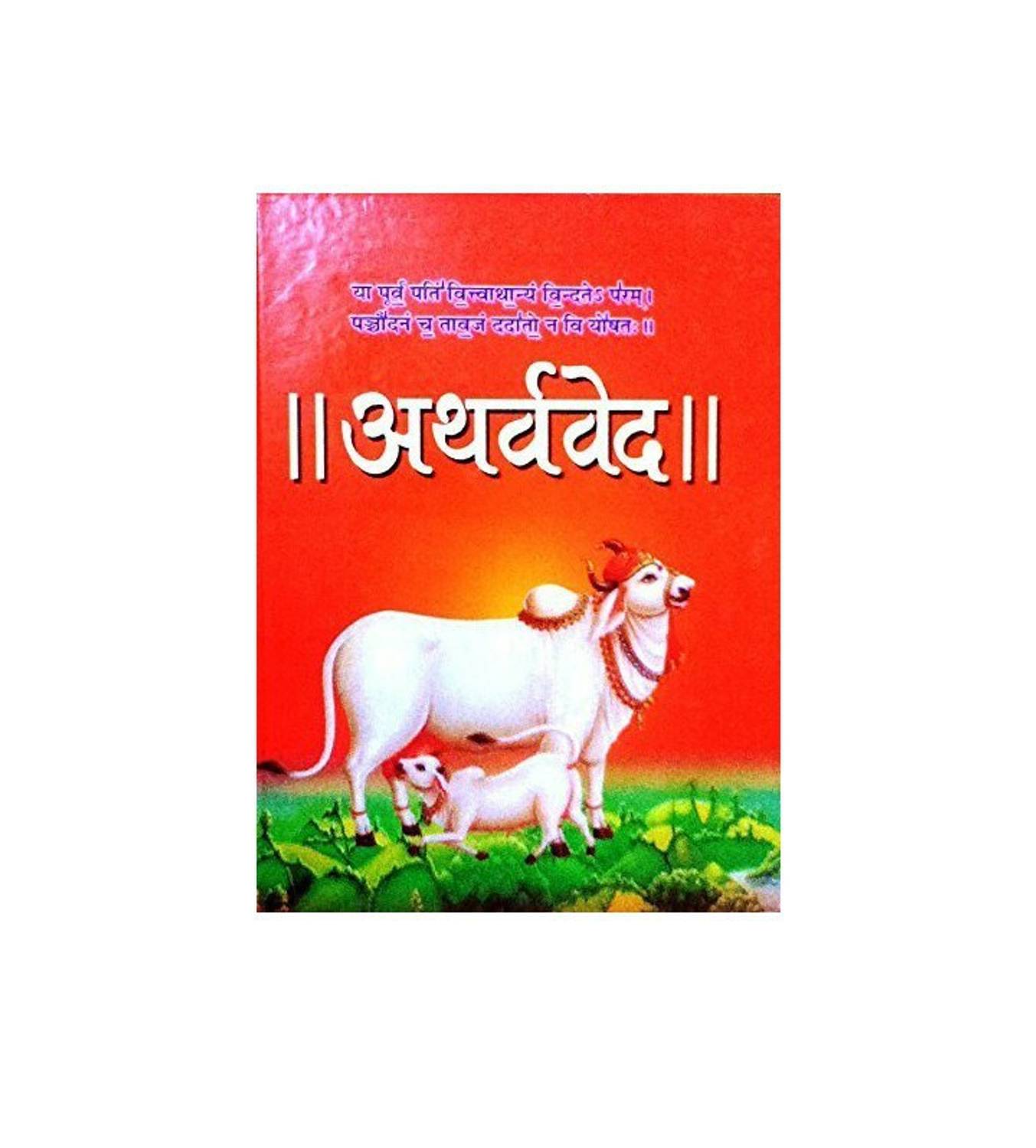 VED Sanskrit & Hindi 4-Volume Set - Image 2