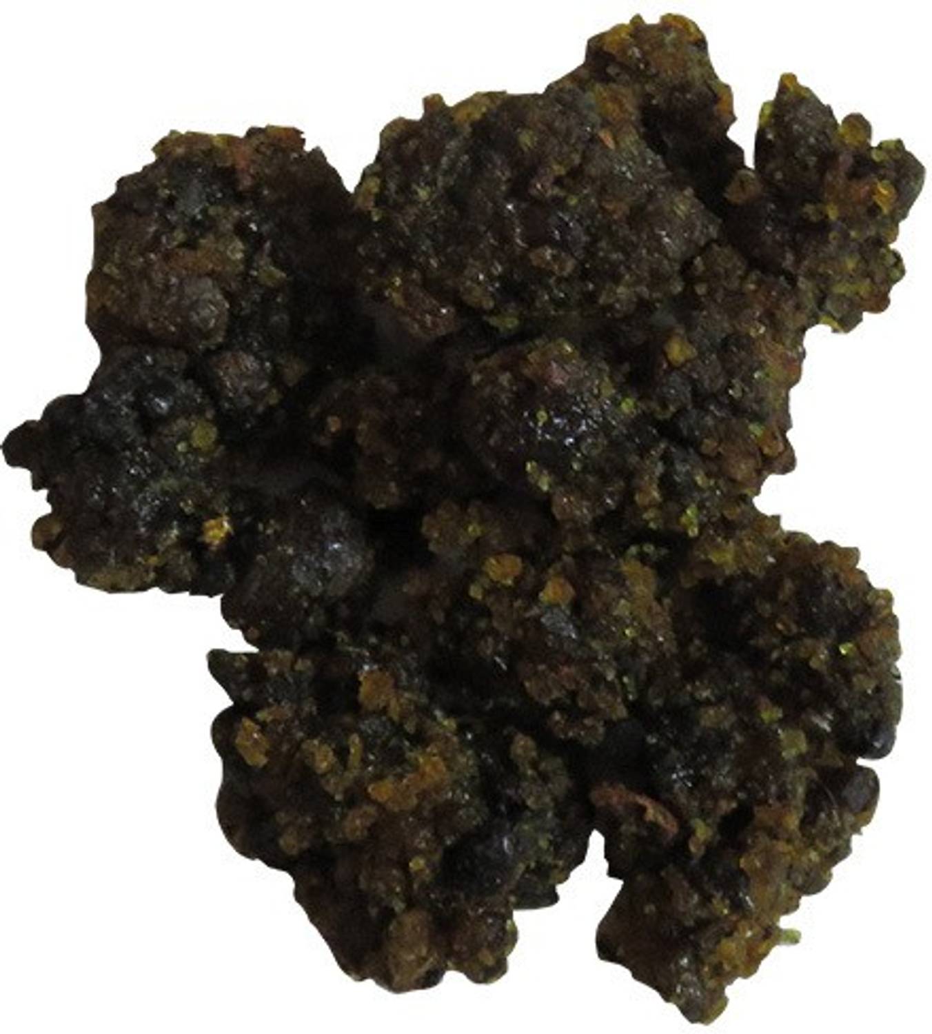 BANKE BIHARI BHESA GUGGUL