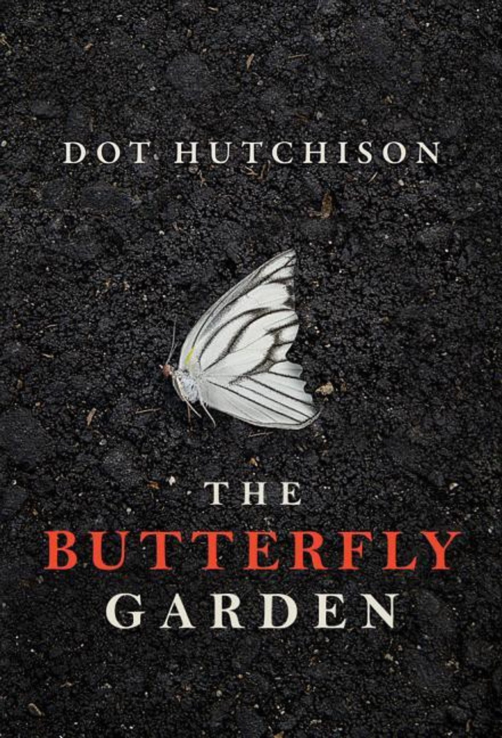 Image of The Butterfly Garden