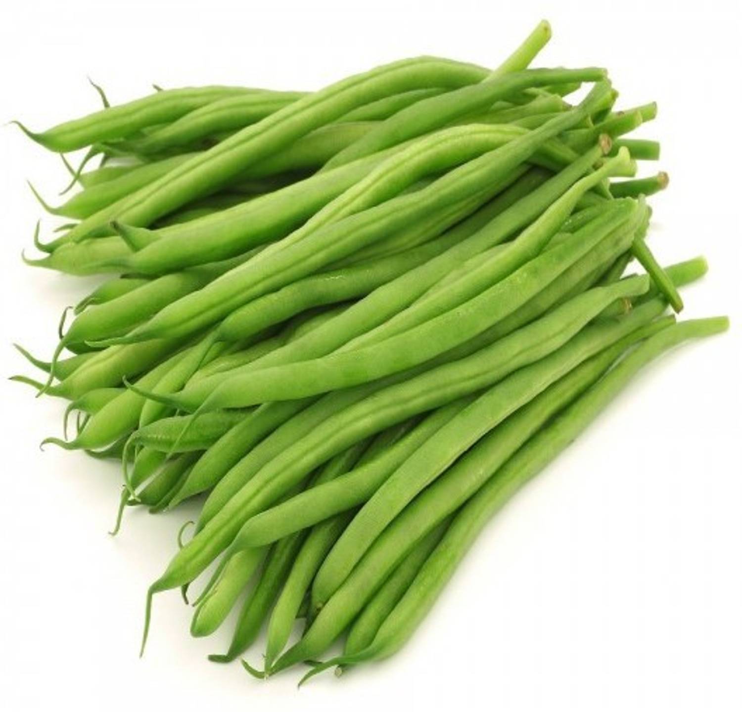 Biocarve Beans Seed